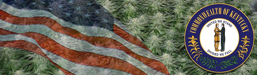 Buy Medical Marijuana Seeds In Kentucky