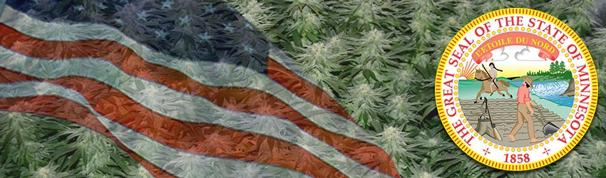 Buy Medical Marijuana Seeds In Minnesota