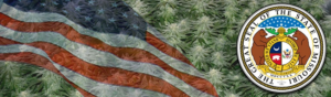 Buy Medical Marijuana Seeds In Missouri
