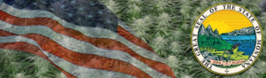 Buy Medical Marijuana Seeds In Montana