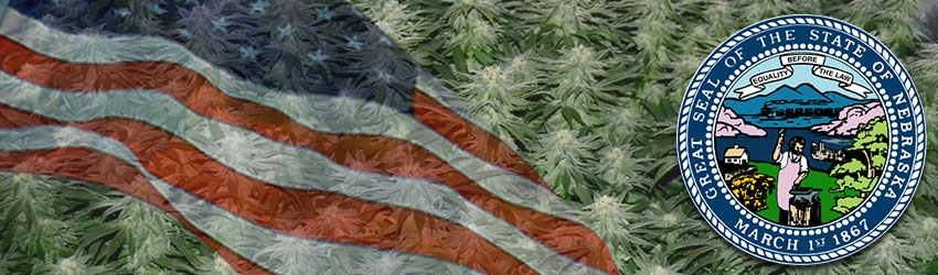 Buy Medical Marijuana Seeds In Nebraska