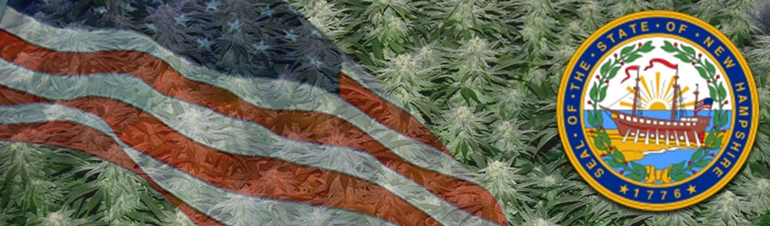 Buy Medical Marijuana Seeds In New Hampshire