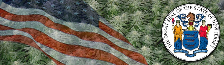 Buy Medical Marijuana Seeds In New Jersey