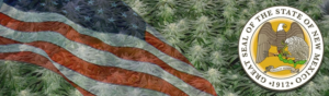 Buy Medical Marijuana Seeds In New Mexico