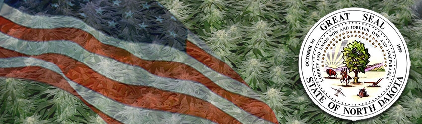 Buy Medical Marijuana Seeds In North Dakota