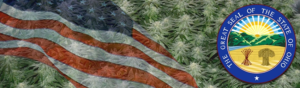 Buy Medical Marijuana Seeds In Ohio