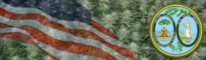 Buy Medical Marijuana Seeds In South Carolina