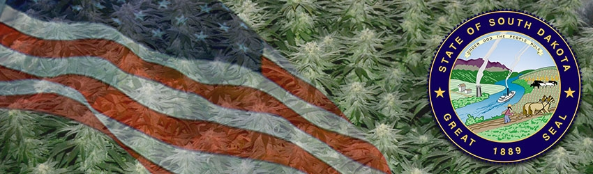 Buy Medical Marijuana Seeds In South Dakota