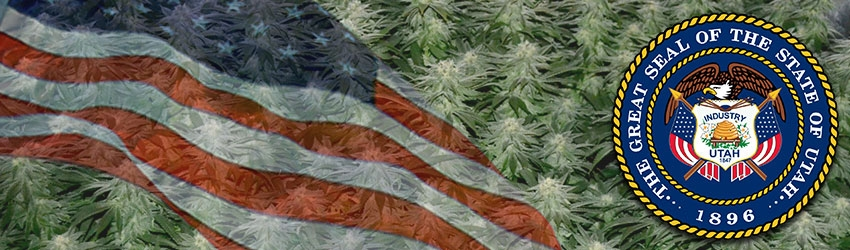 Buy Medical Marijuana Seeds In Utah