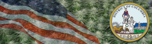 Buy Medical Marijuana Seeds In Washington