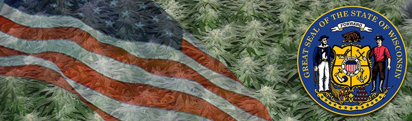 Buy Medical Marijuana Seeds In Wisconsin