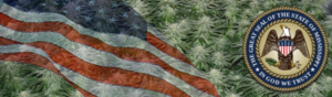 Buy Medical Marijuana Seeds In Mississippi