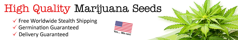 Buy Marijuana Seeds