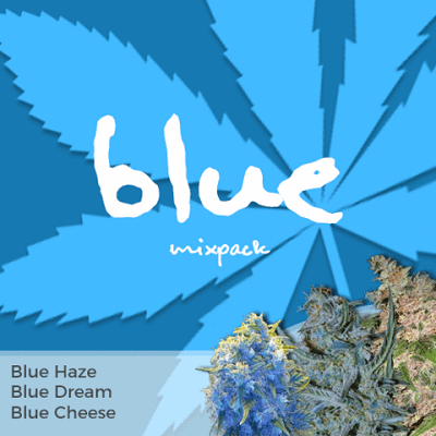 Blue Mixpack Marijuana Seeds