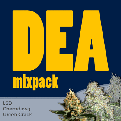 DEA Mixpack Marijuana Seeds