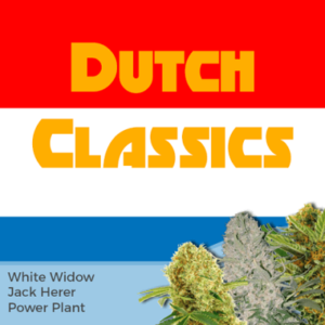 Dutch Classics Mixpack Marijuana Seeds