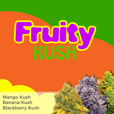 Fruity Kush Mixpack Marijuana Seeds