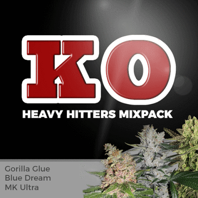 Heavy Hitters Mixpack Marijuana Seeds