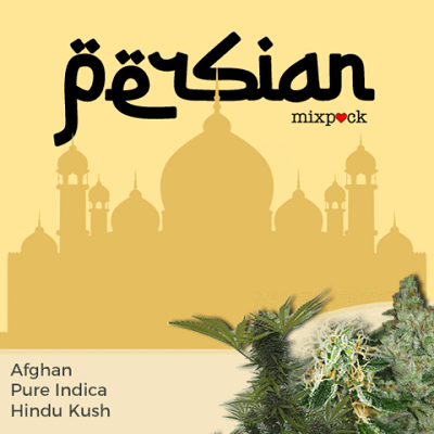 Persian Mixpack Marijuana Seeds