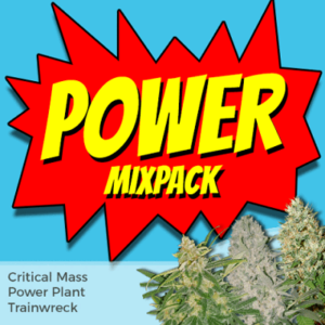 Power Mixpack Marijuana Seeds