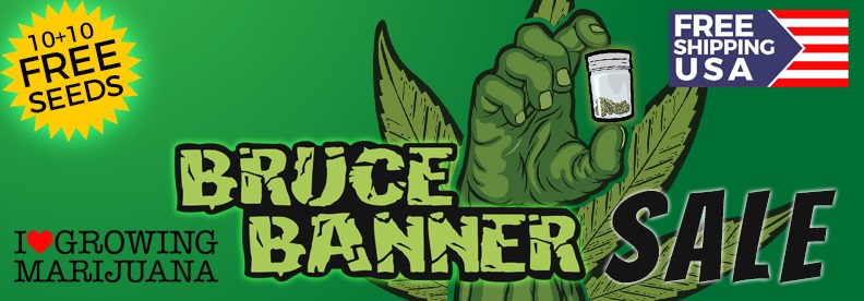 Bruce Banner Seeds Offer