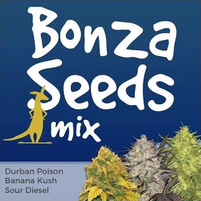 Bonza Marijuana Seeds Mix