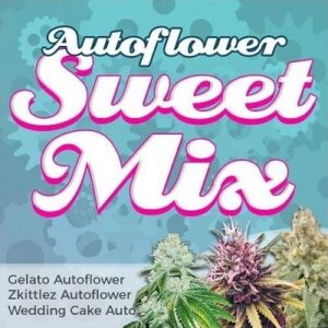 Sweet Autoflower Seeds Mix