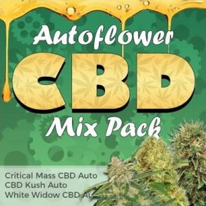 CBD Autoflower Seeds Mix
