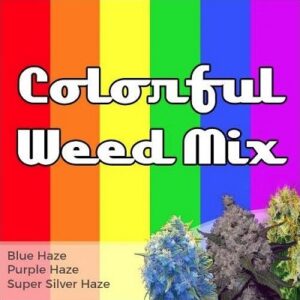 Colorful Weed Mixed Marijuana Seeds