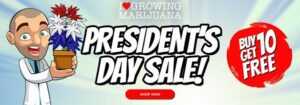 President’s Day Sale - Cannabis Seed Deals