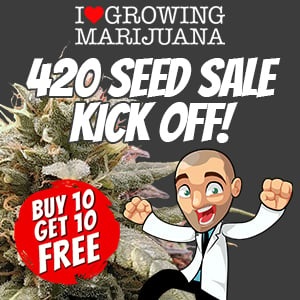 420 Seed Sale 2023