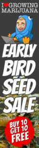 Early Bird Marijuana Seeds Sale